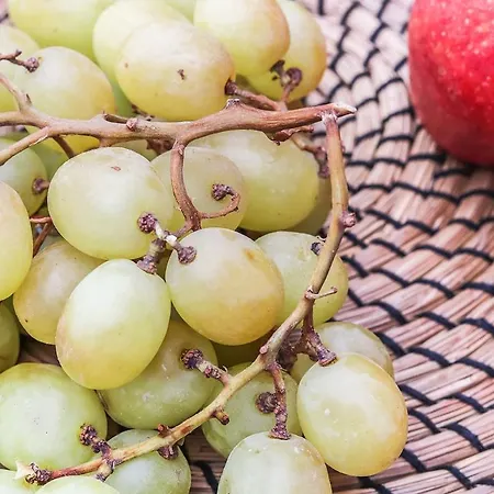 Principe Real Stylish Modern With Ac Apartment Lisbon